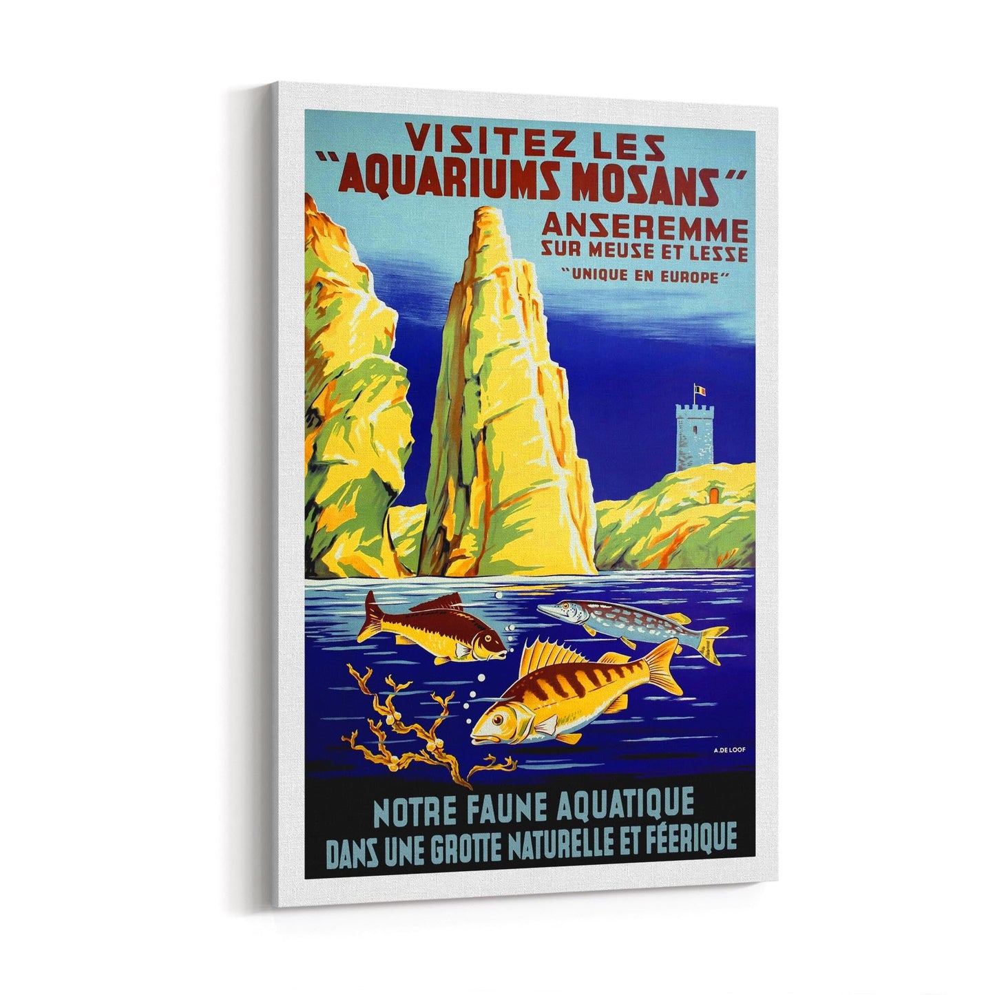 Belgium "Visitez Les Aquariums Mosans" | Framed Canvas Vintage Travel Advertisement