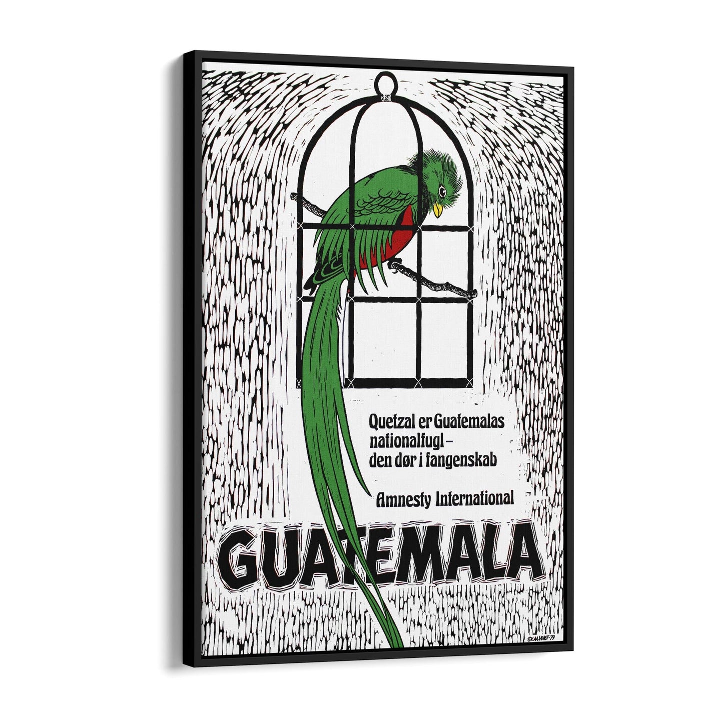 Guatemala's Quetzal: National Bird and Symbol of Freedom (Danish) Amnesty International | Framed Canvas Vintage Travel Advertisement