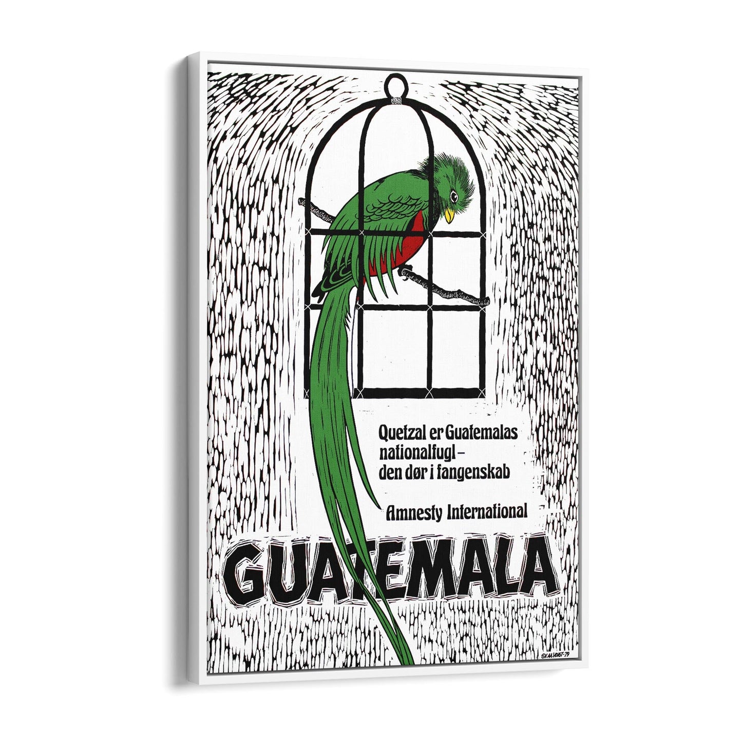 Guatemala's Quetzal: National Bird and Symbol of Freedom (Danish) Amnesty International | Framed Canvas Vintage Travel Advertisement