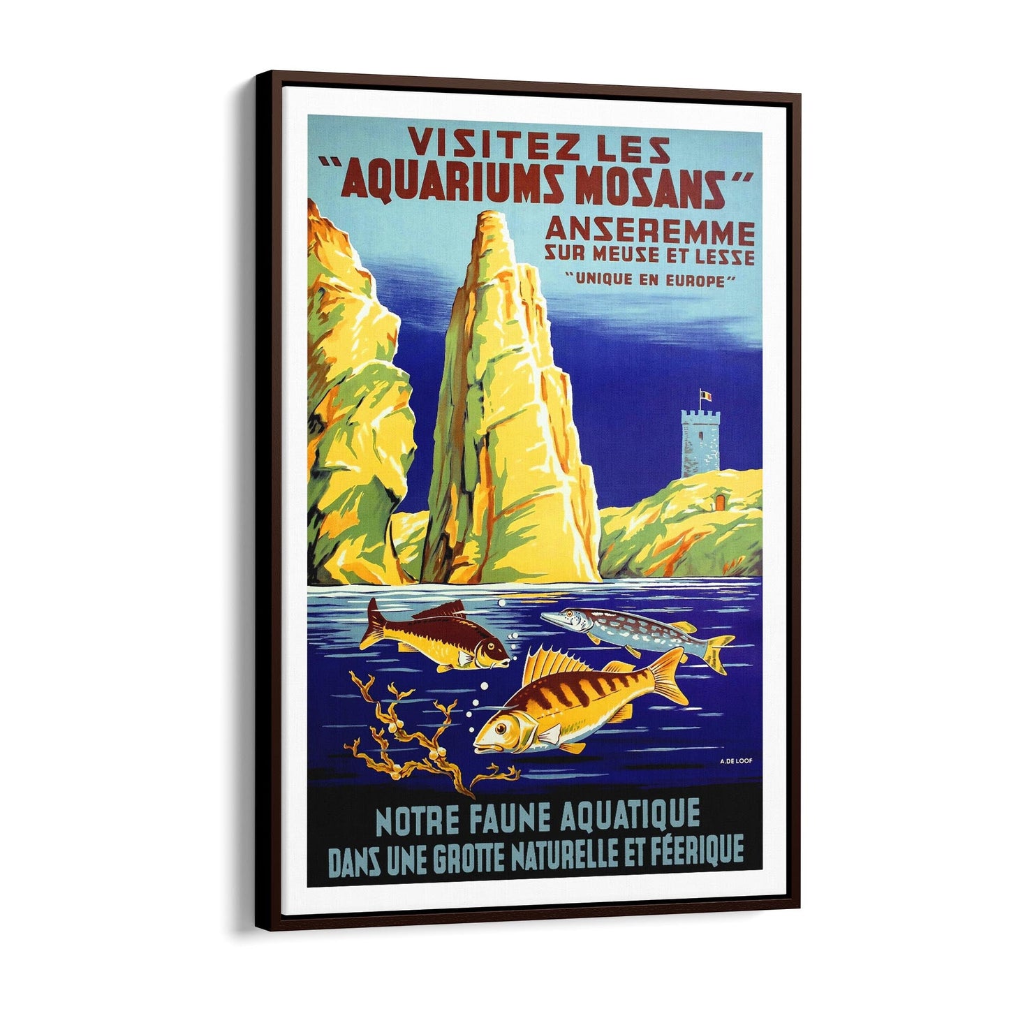 Belgium "Visitez Les Aquariums Mosans" | Framed Canvas Vintage Travel Advertisement