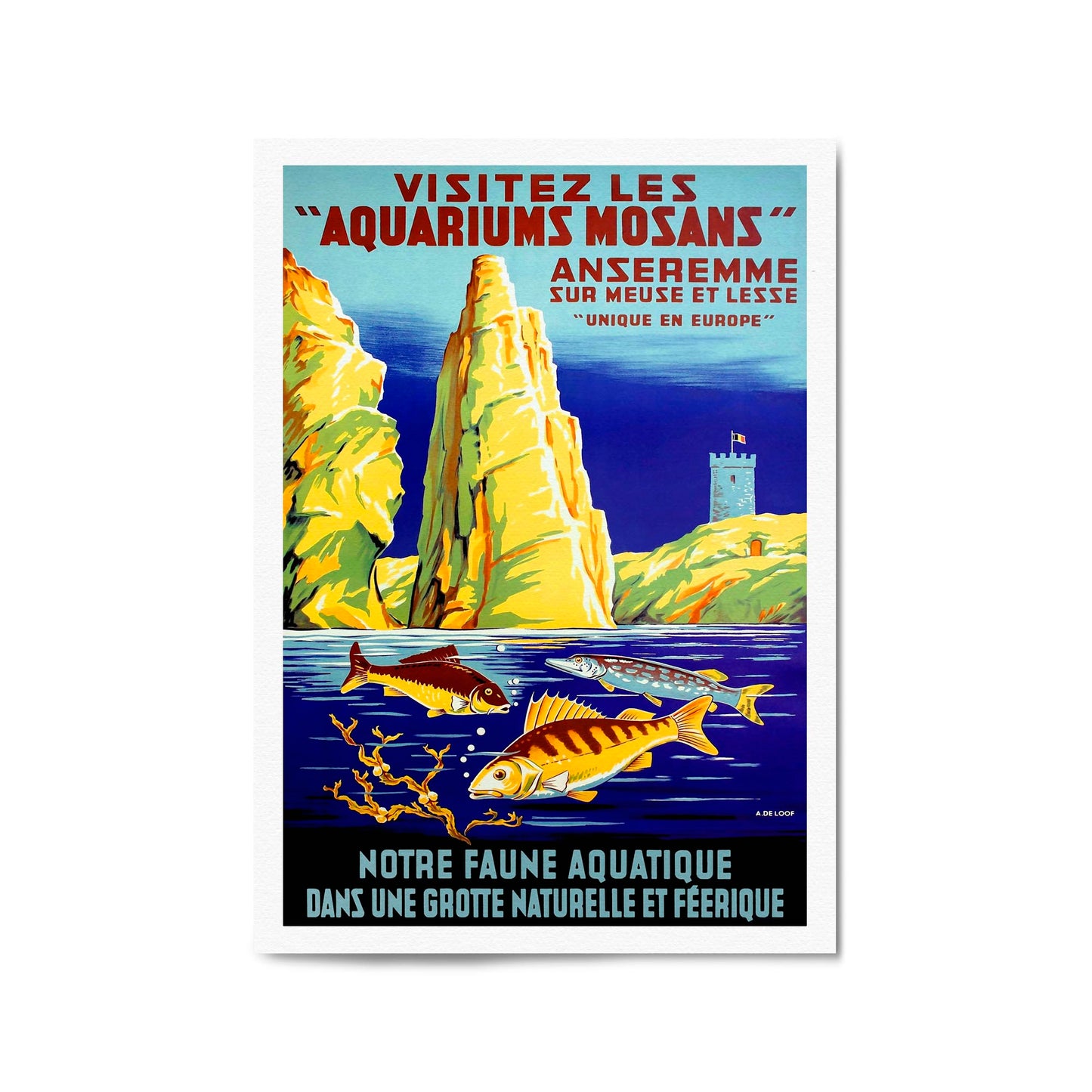 Belgium, Visitez Les Aquariums Mosans | Framed Vintage Travel Poster