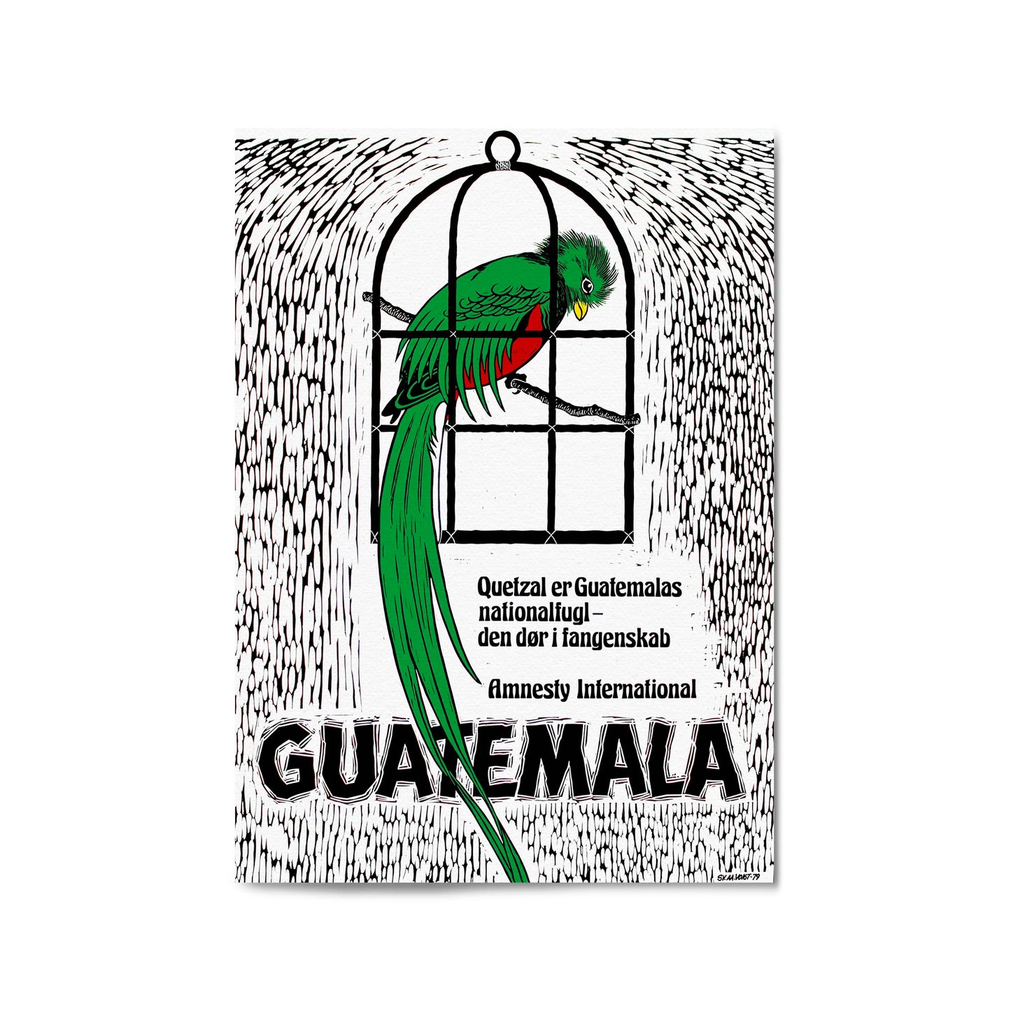 Guatemala's Quetzal: National Bird and Symbol of Freedom (Danish) Amnesty International | Framed Vintage Poster