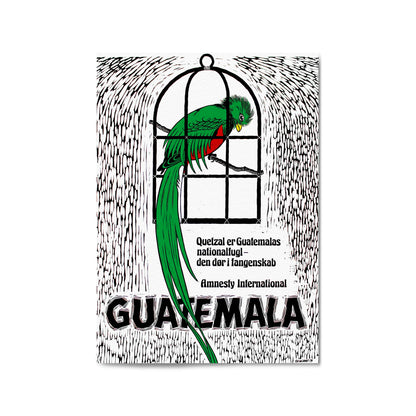 Guatemala's Quetzal: National Bird and Symbol of Freedom (Danish) Amnesty International | Framed Vintage Poster