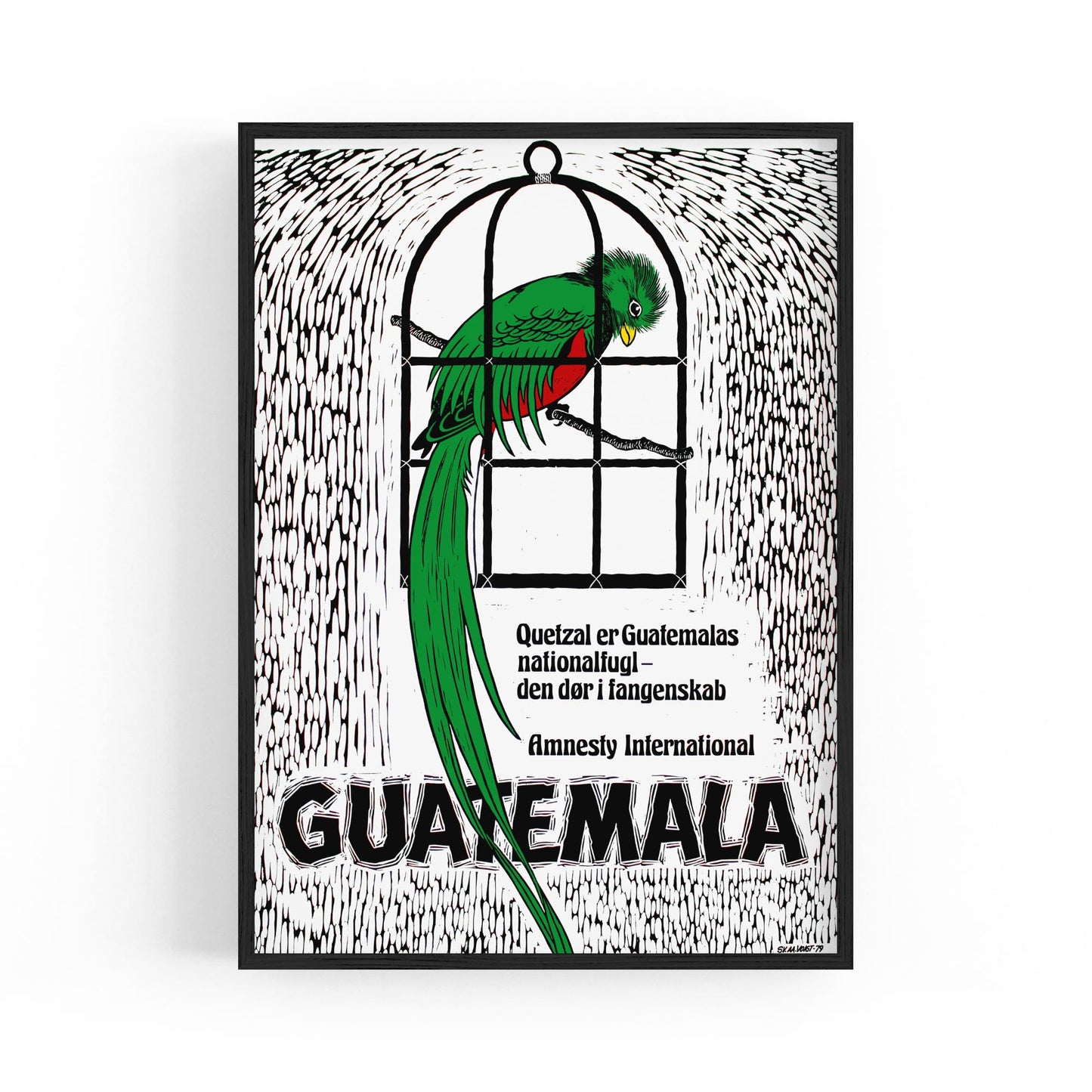 Guatemala's Quetzal: National Bird and Symbol of Freedom (Danish) Amnesty International | Framed Vintage Poster