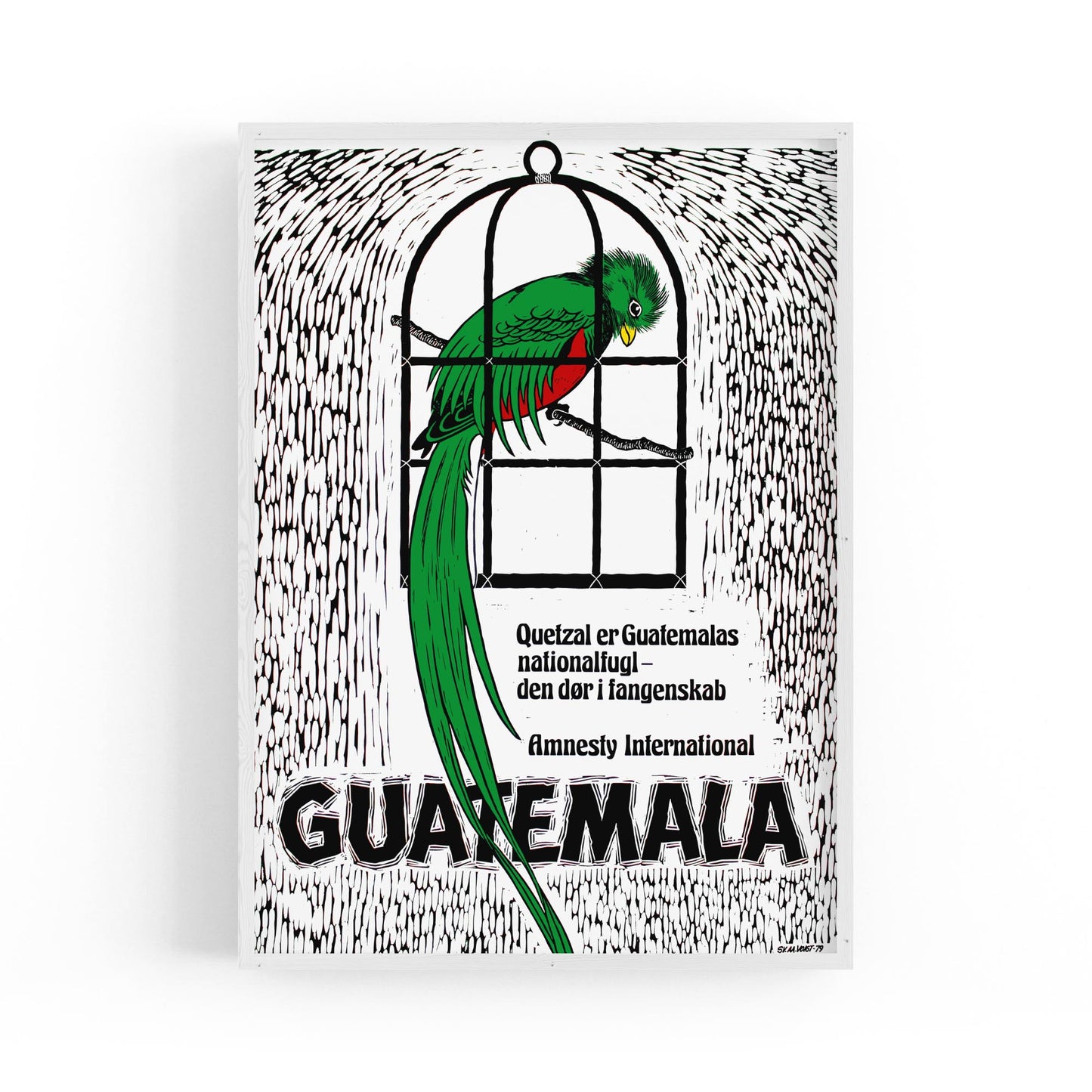 Guatemala's Quetzal: National Bird and Symbol of Freedom (Danish) Amnesty International | Framed Vintage Poster