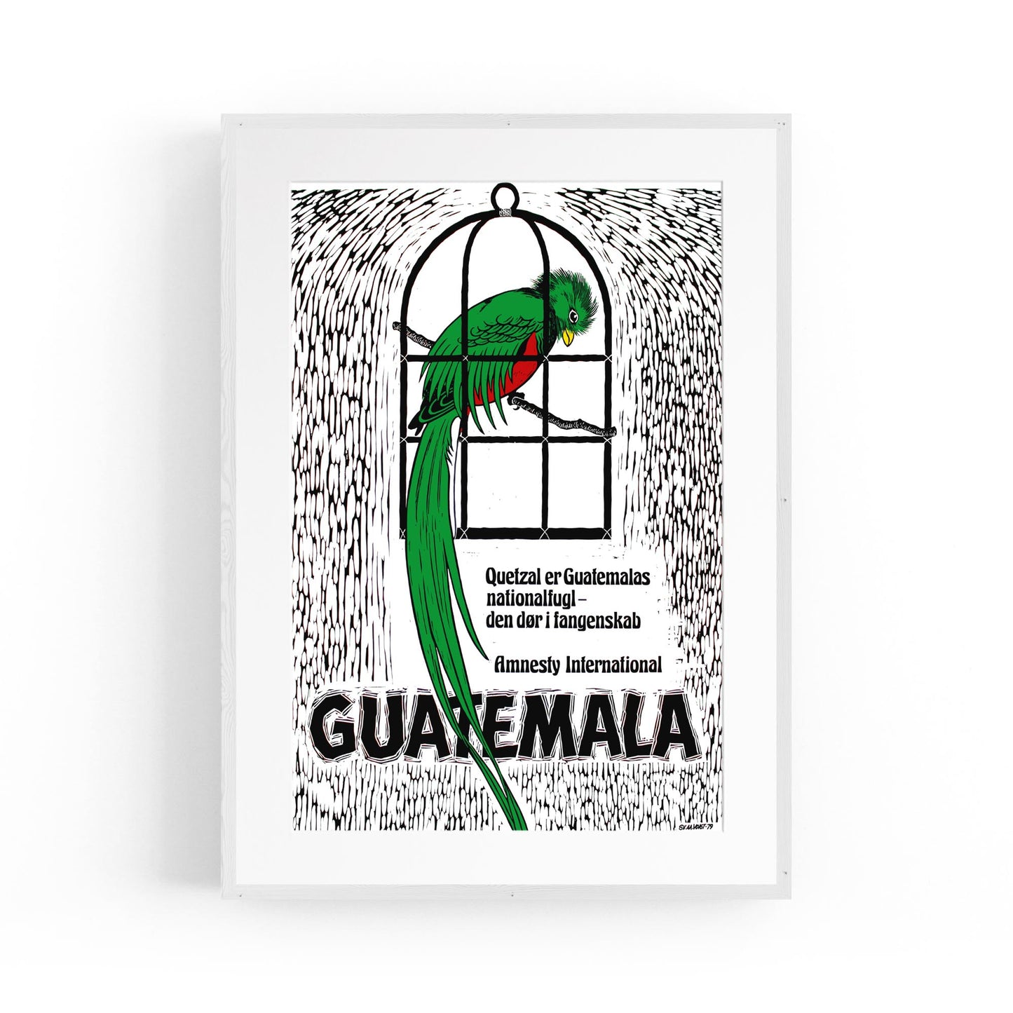 Guatemala's Quetzal: National Bird and Symbol of Freedom (Danish) Amnesty International | Framed Vintage Poster