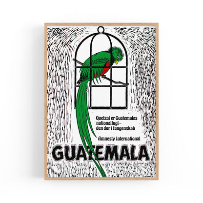 Guatemala's Quetzal: National Bird and Symbol of Freedom (Danish) Amnesty International | Framed Vintage Poster