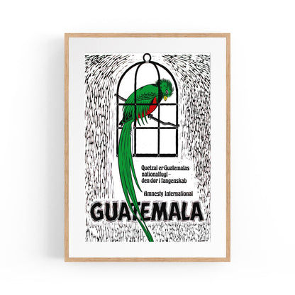 Guatemala's Quetzal: National Bird and Symbol of Freedom (Danish) Amnesty International | Framed Vintage Poster