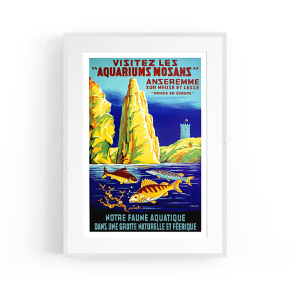 Belgium, Visitez Les Aquariums Mosans | Framed Vintage Travel Poster
