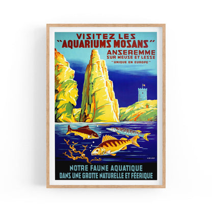 Belgium, Visitez Les Aquariums Mosans | Framed Vintage Travel Poster