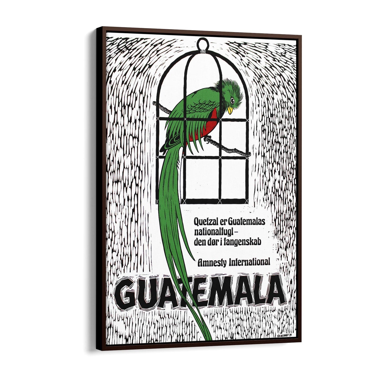 Guatemala's Quetzal: National Bird and Symbol of Freedom (Danish) Amnesty International | Framed Canvas Vintage Travel Advertisement